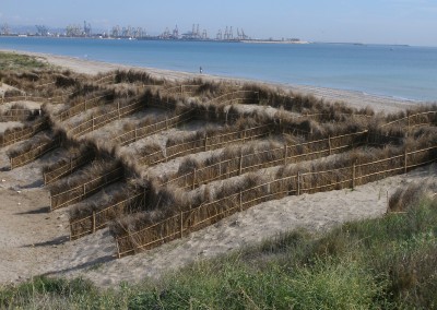 Dune restoration in the beach of “La Creu”, Valencia (Valencia)